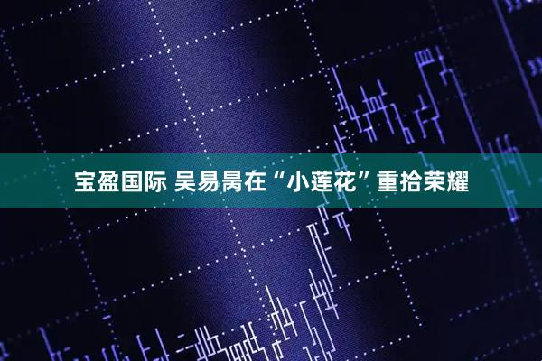 宝盈国际 吴易昺在“小莲花”重拾荣耀