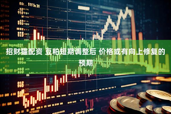 招财猫配资 豆粕短期调整后 价格或有向上修复的预期