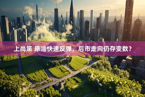 上尚策 原油快速反弹，后市走向仍存变数？